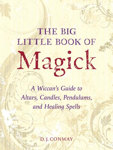 Cover image for The Big Little Book of Magick