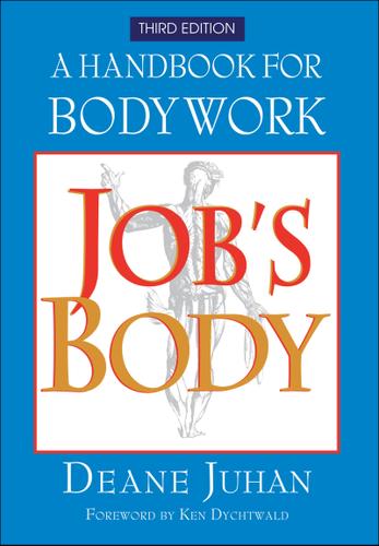 Cover image for Job's Body