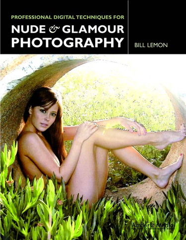 Cover image for Professional Digital Techniques for Nude & Glamour Photography