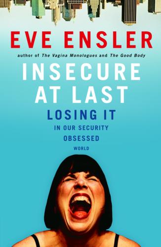 Cover image for Insecure at Last