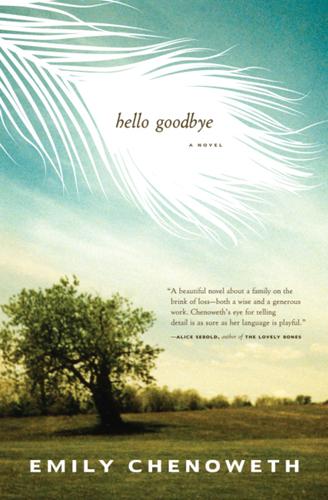 Cover image for Hello Goodbye