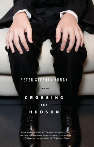 Cover image for Crossing the Hudson