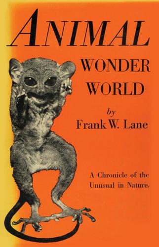 Cover image for Animal Wonder World