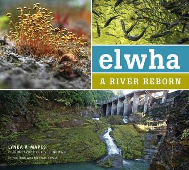 Cover image for Elwha