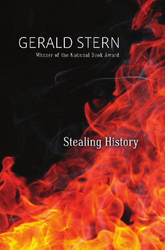 Cover image for Stealing History