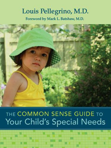 Cover image for The Common Sense Guide to Your Child's Special Needs