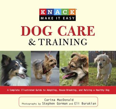 Cover image for Knack Dog Care and Training
