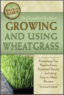 The Complete Guide to Growing and Using Wheatgrass: Everything You Need to Know Explained Simply