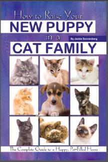 How to Raise Your New Puppy in a Cat Family: The Complete Guide to a Happy Pet-Filled Home
