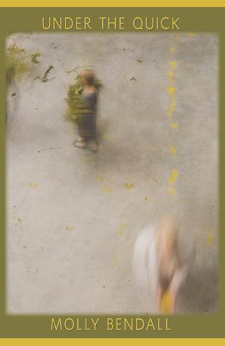 Cover image for Under the Quick