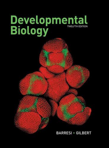 Developmental Biology 12th Edition By Michael Jf Barresi