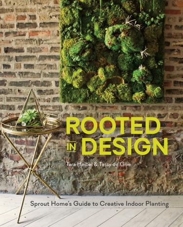 Cover image for Rooted in Design