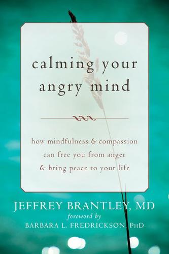 Cover image for Calming Your Angry Mind