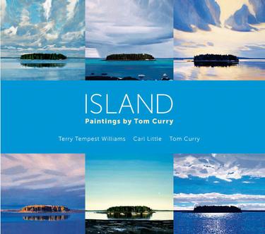 Cover image for Island