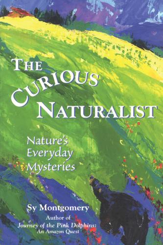Cover image for The Curious Naturalist