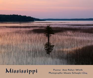 Cover image for Mississippi