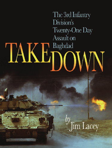 Cover image for Takedown