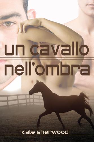 Cover image for Un cavallo nellombra