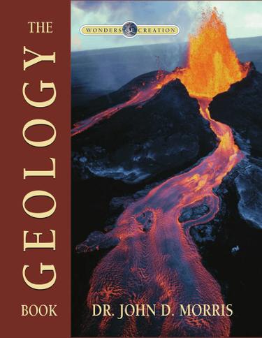 Cover image for The Geology Book