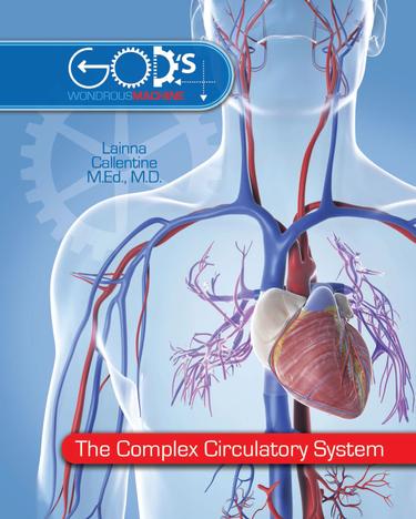Cover image for Complex Circulatory System, The