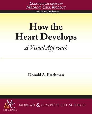 Cover image for How the Heart Develops