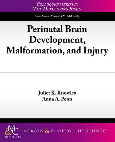 Perinatal Brain Development, Malformation, and Injury