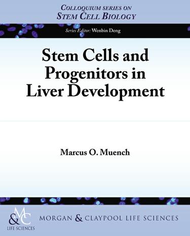 Stem Cells and Progenitors in Liver Development