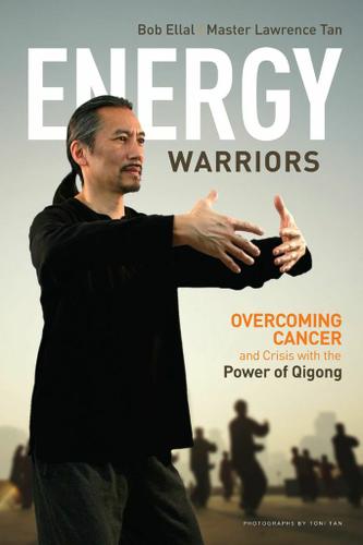 Cover image for Energy Warriors