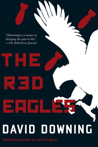 Cover image for The Red Eagles