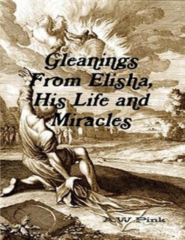 Cover image for Gleanings From Elisha, His Life and Miracles