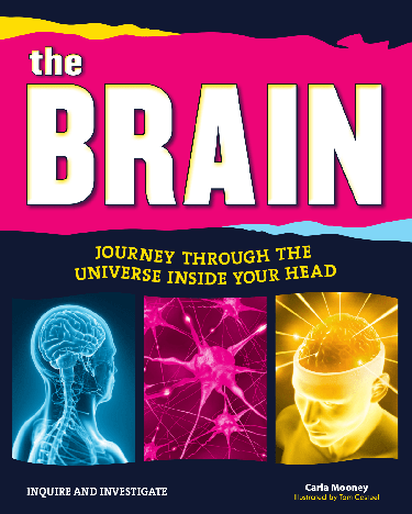 Cover image for The Brain