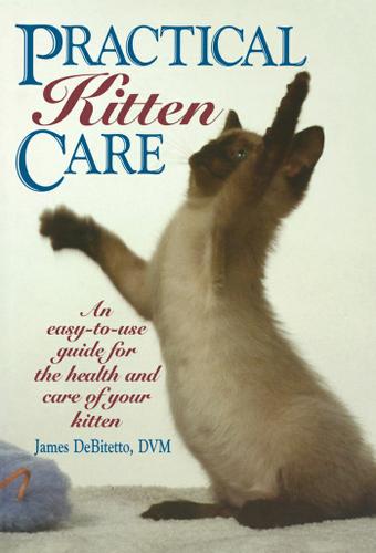Cover image for Practical Kitten Care
