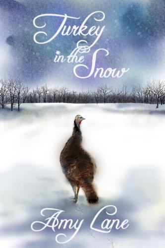 Cover image for Turkey in the Snow