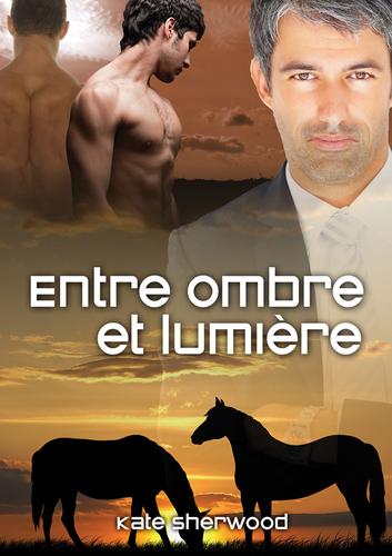 Cover image for Entre ombre et lumiere