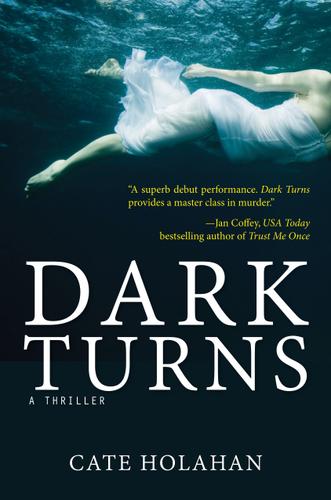 Cover image for Dark Turns