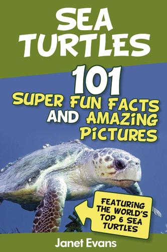 Cover image for Sea Turtles : 101 Super Fun Facts And Amazing Pictures (Featuring The World's Top 6 Sea Turtles)