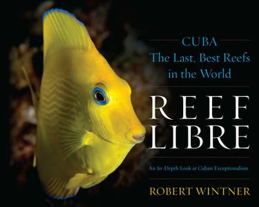Cover image for Reef Libre