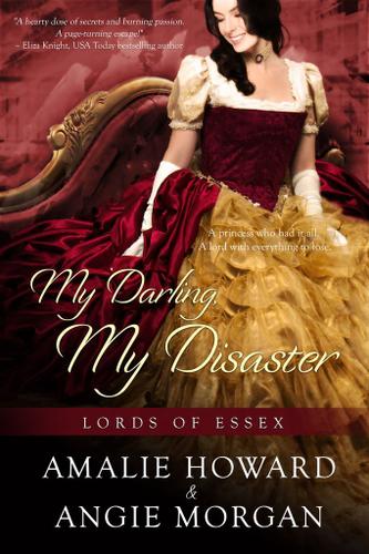 Cover image for My Darling, My Disaster