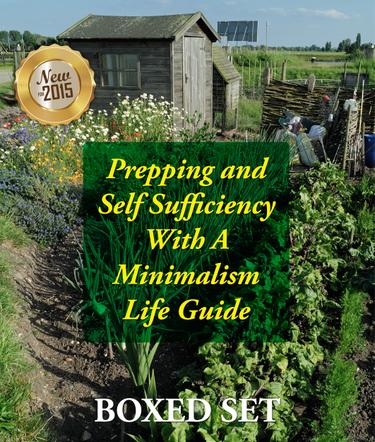 Cover image for Prepping and Self Sufficiency With A Minimalism Life Guide: Prepping for Beginners and Survival Guides