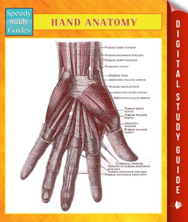 Hand Anatomy Speedy Study Guides