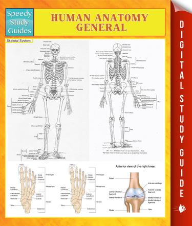 Human Anatomy General Speedy Study Guides