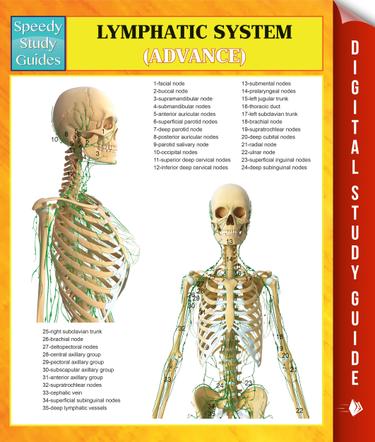 Cover image for Lymphatic System (Advanced) Speedy Study Guides