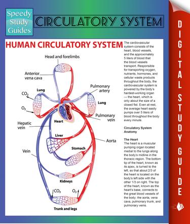 Circulatory System (Speedy Study Guides)