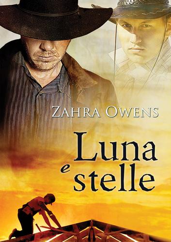 Cover image for Luna e stelle