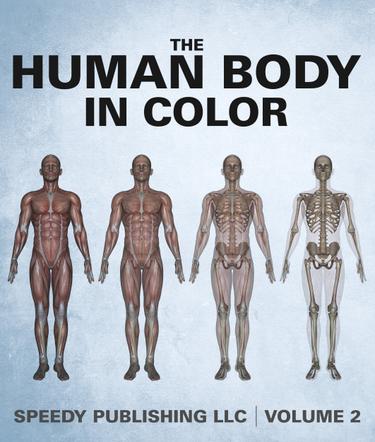 Cover image for The Human Body In Color Volume 2
