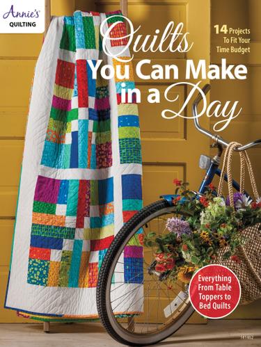 Cover image for Quilts You Can Make In a Day