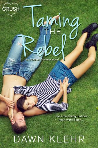 Cover image for Taming the Rebel