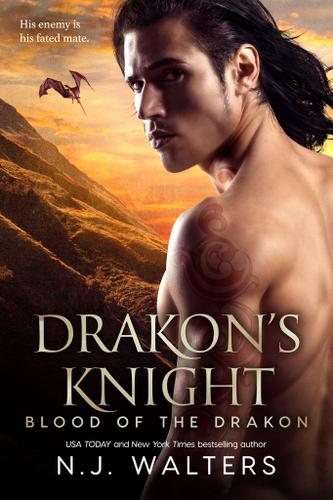 Cover image for Drakon's Knight