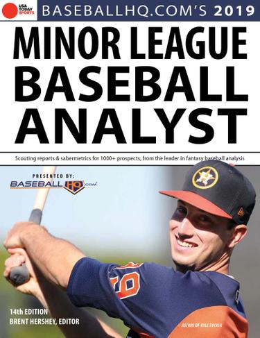 Cover image for 2019 Minor League Baseball Analyst