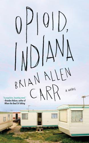 Cover image for Opioid, Indiana